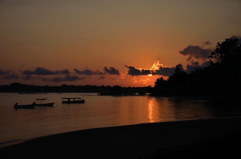 Apartamentos Herrera ปัวร์โตคิมาเนซ ห้อง รูปภาพ
